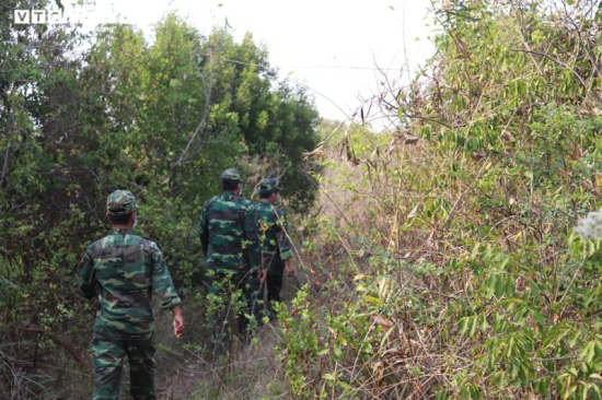 can-canh-bien-phong-trang-dem-02-15474722