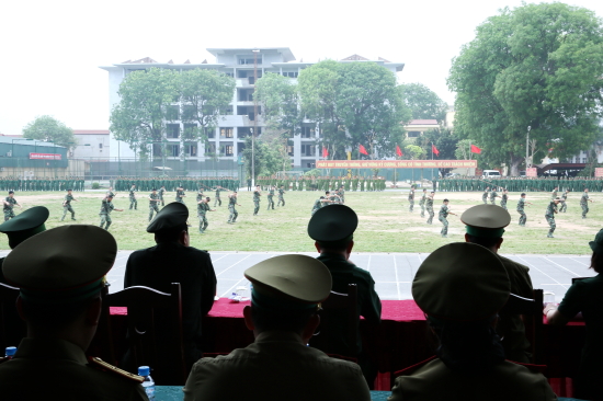 d1rg_anh-5
