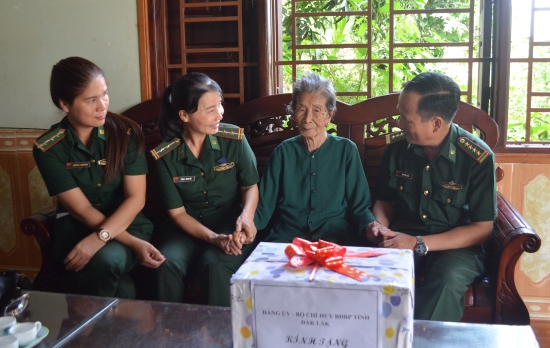 d5vm_hinh-anh-1