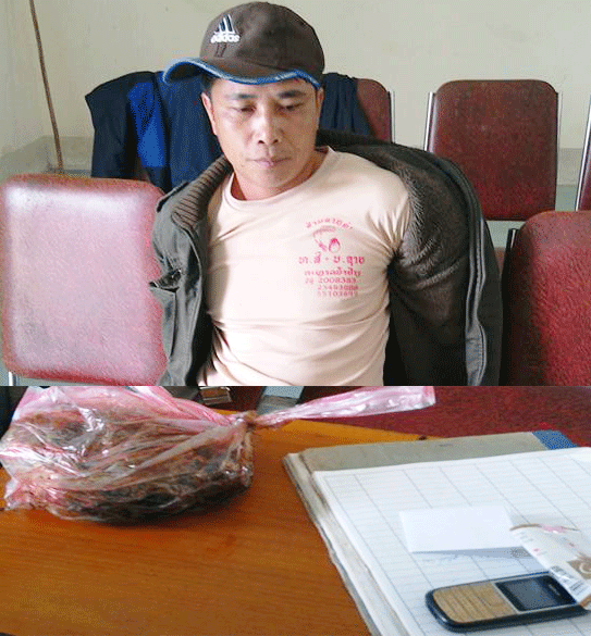 dfsd