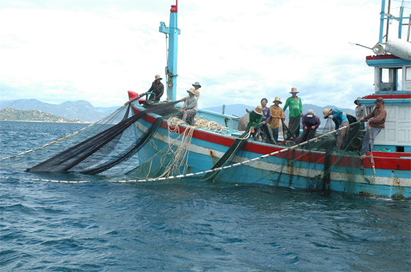 dm43_12b-1.JPG
