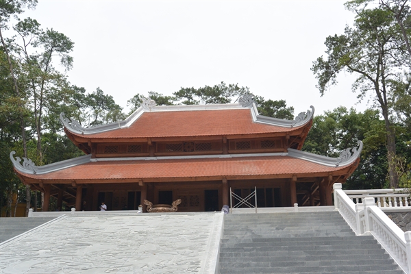 dmgs_20b-1.JPG