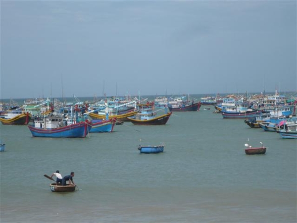 dri0_image001-1.jpg