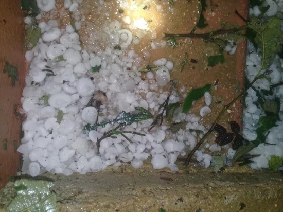 f8vrwtbh1e-26012_f_k7w8dm1g0_1