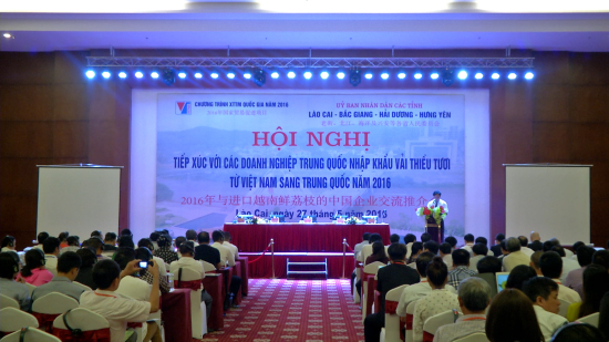 ghqc1dn58m-48962_21186872042079028007_ton_cnh_hi_ngh