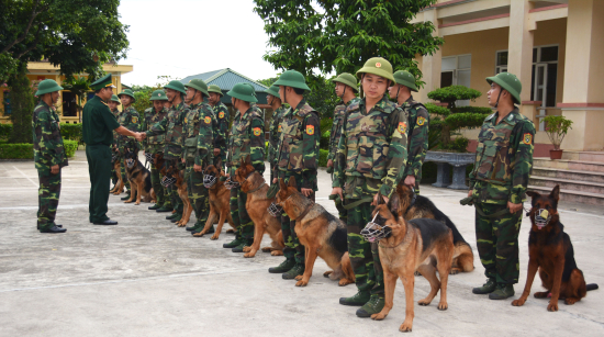 gphn_10a