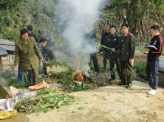 hsj63mb7we-12267_f_jtgqs4c02_Tiu_hy_cy_thuc_phin