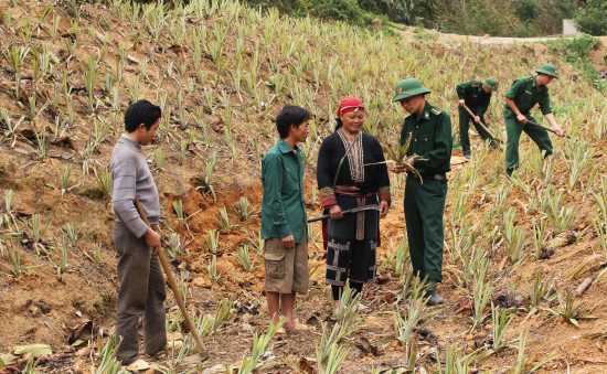 huong-dan-nhan-dan-phuong-phap-trong-cay-dua