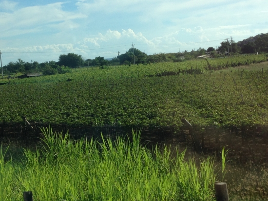 img-9843