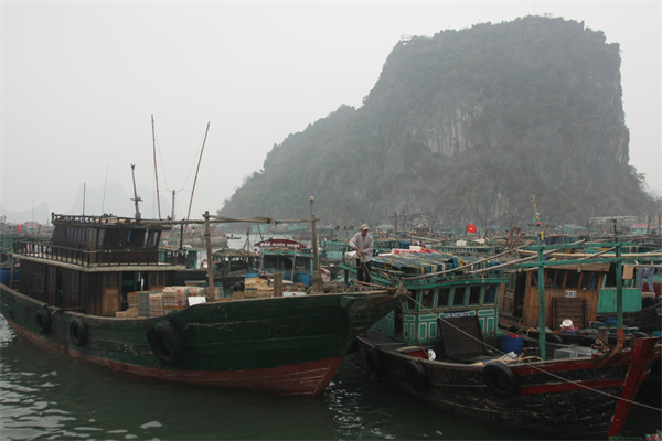 img_0337-1.JPG
