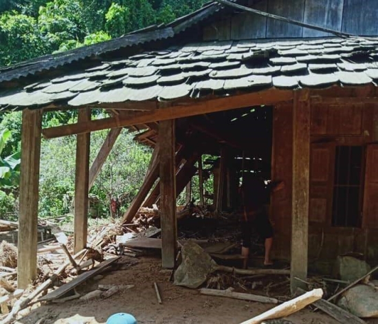 jdc5_anh-1-1