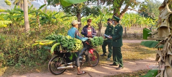 la-chan-song-noi-bien-cuong-mua-dich-covid-19