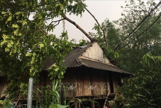 lai-chau-23420