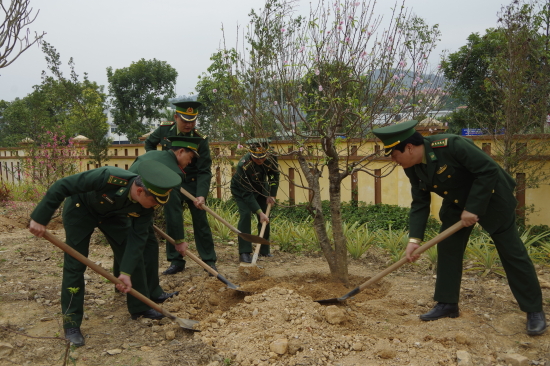 lanh-dao-bo-chi-huy-bdbp-tinh-trong-cay-tai-so-chi-huy