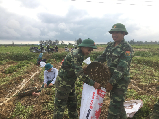 lgv3e6jmd0-14206_f_jvn3dnpf2_Anh_3