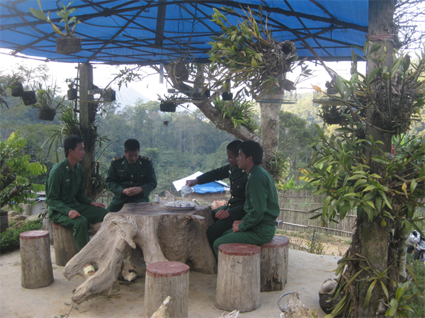 lmwn_10a-2.JPG