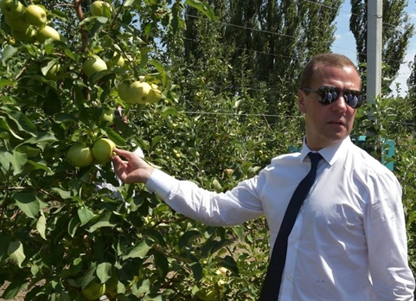 medvedev_kuril-1.jpg