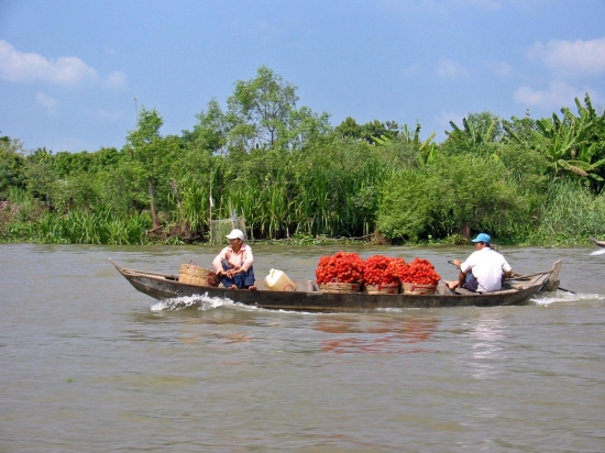 mekong-delta-vietnam-1