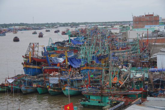 mq15uizha7-70544_1740607022007969839_anh_5