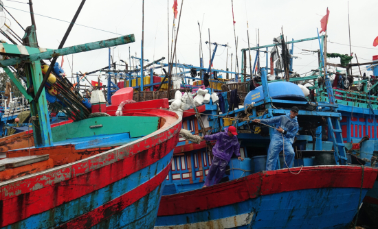 ngu-dan-quang-ngai-dua-tau-ca-vao-ben-neo-tru-phong-tranh-bao-so-5-anh-van-tanh