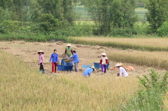 nong-dan-tieu-bieu