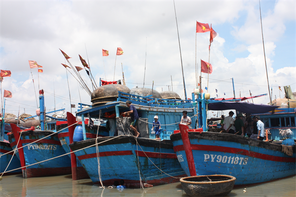 p1ik_16b-1.JPG