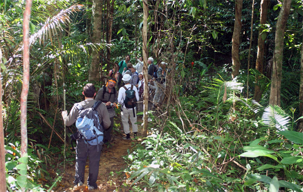 p82h_22c-1.JPG