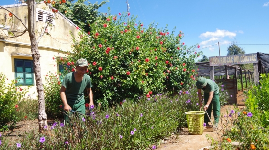 pjfk_12a