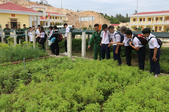 qirx_anh-3