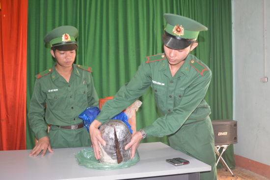 qjl0ztyem4-61961_1822887850773477405_kim_tra_tang_vt