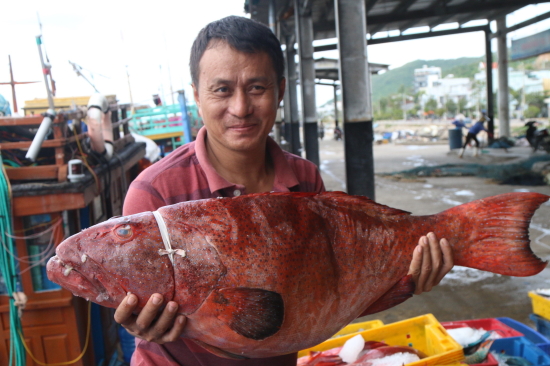 sr9q_17a