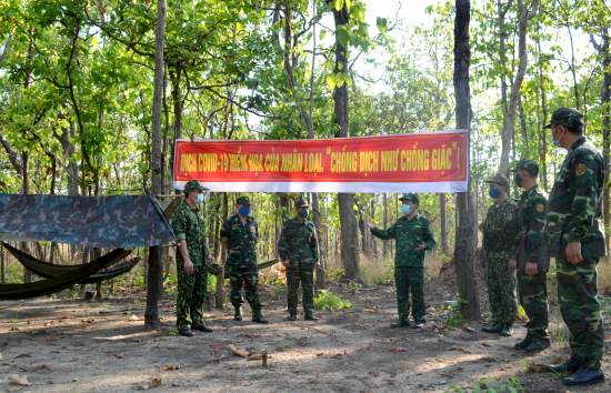 tibs_anh-3