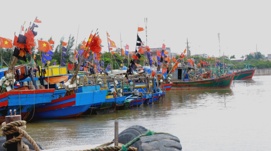 tinh_7