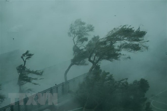 ttxvn-baomangkhut-hongkong