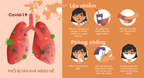 virus-corona-covid-19-gay-hai-cho-co-the-nhu-the-nao-hai-la-phoi-bi-tan-pha