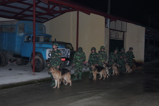 wqzr_anh-3
