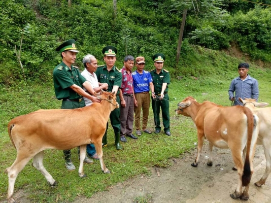 x3ctw28jdg-1772_5713068471944341896_Tang_bo_1