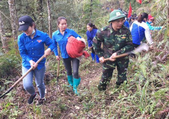 y1scrnl34m-25580_f_k7d0zovm2_on_vin_thanh_nin_tham_gia_pht_quang_3_km_ng_tun_tra_bin_gii.