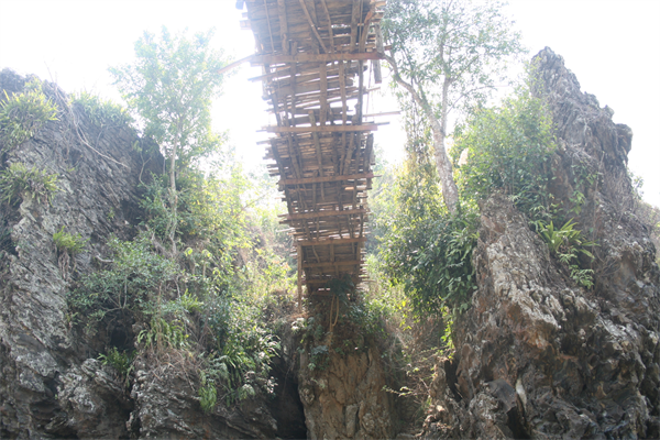 y4zw_13c-1.JPG