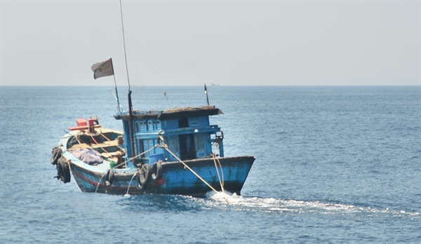 ysud_20a-1.JPG