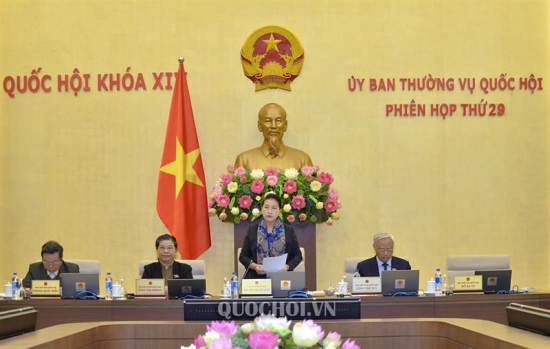 yx19tf6idg-8141_f_jpibm8a10_1012ctqh_khai_mac