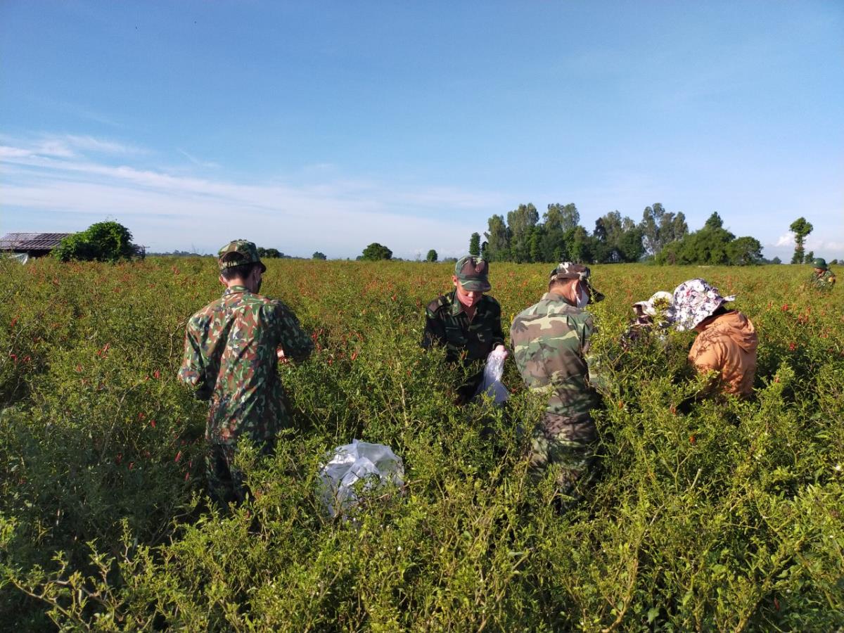 Quân đội là lực lượng nòng cốt trong ứng phó với thách thức an ninh phi truyền thống