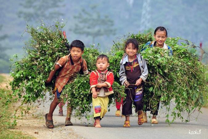 Người sử dụng lao động có quyền được ký hợp đồng lao động đối với người lao động từ đủ 15 tuổi đến chưa đủ 18 tuổi