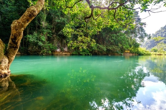 Khu bảo tồn thiên nhiên Mường Nhé