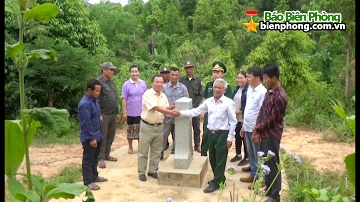 Cây đại thụ ở bản Ka Tăng