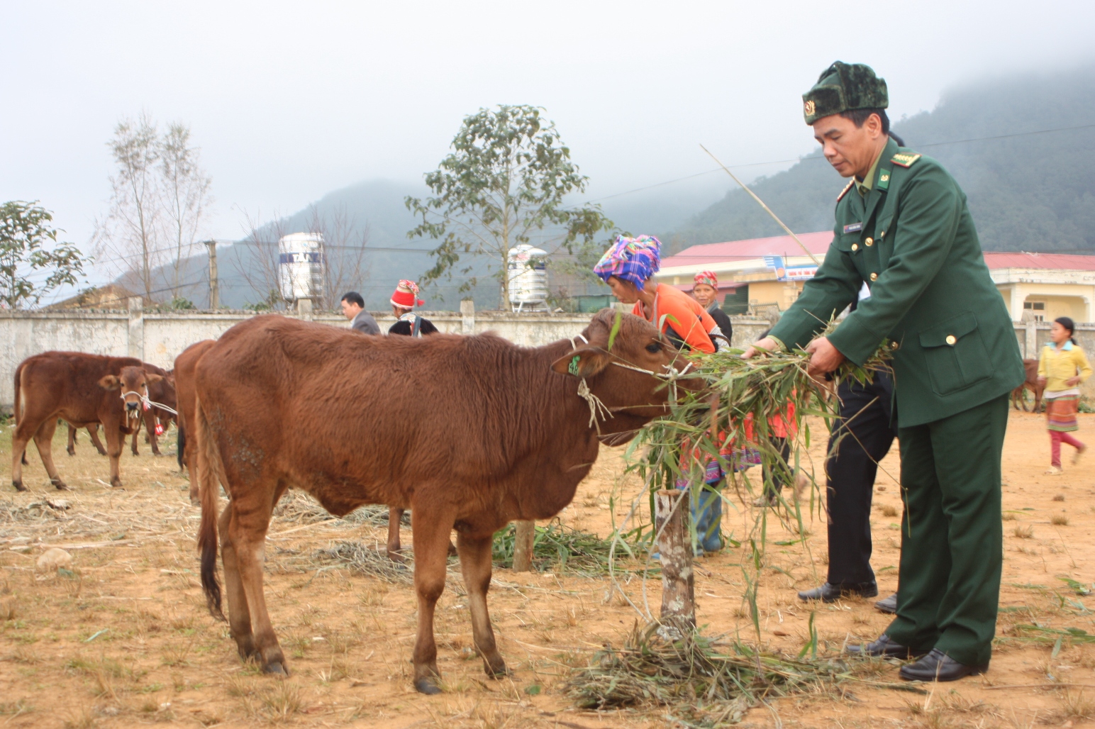 Món quà  giờ đã sinh sôi