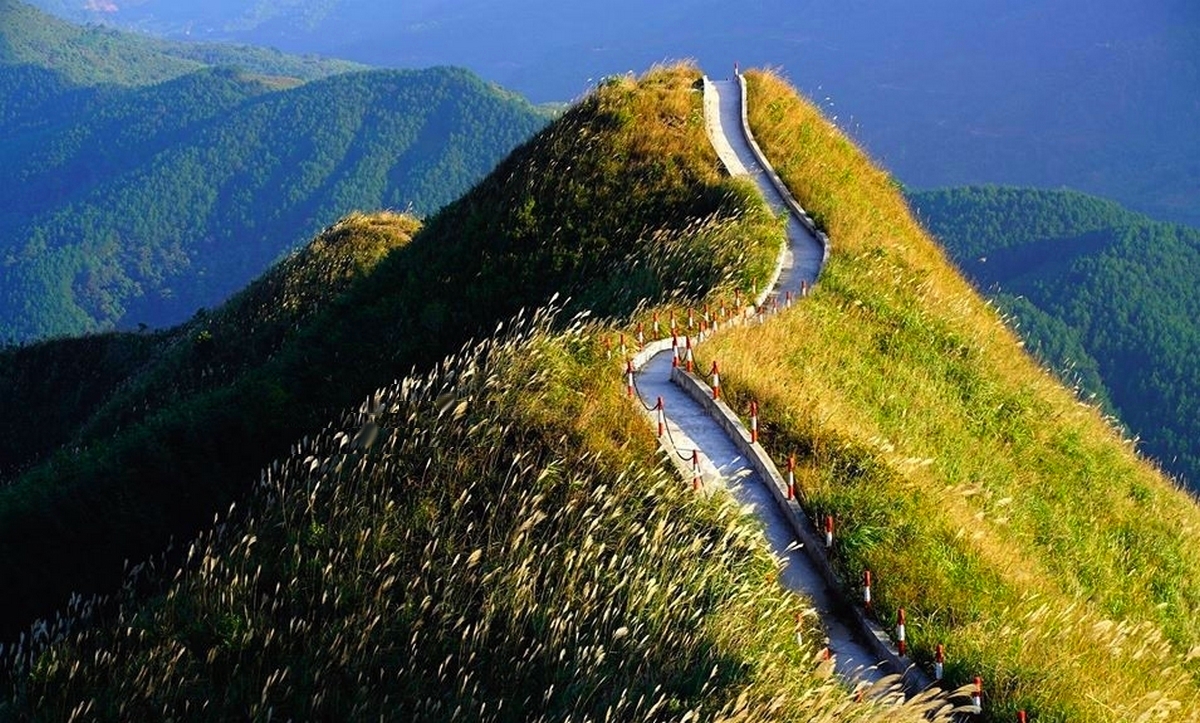 Sống lưng khủng long Bình Liêu