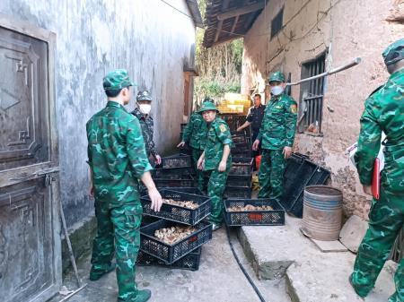 Quyết tâm ngăn chặn nạn buôn lậu gia cầm qua biên giới