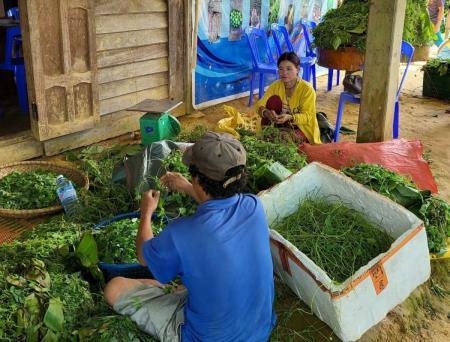 Nâng tầm giá trị nông sản ở vùng biên giới Tây Giang