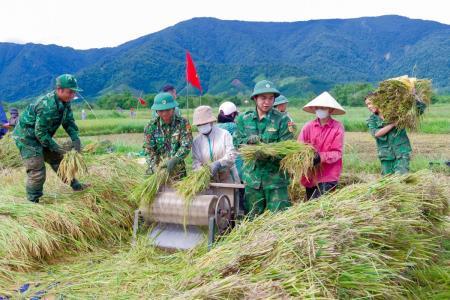 Giúp dân vùng biên thu hoạch lúa